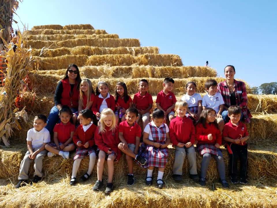 Pumpkin Patch